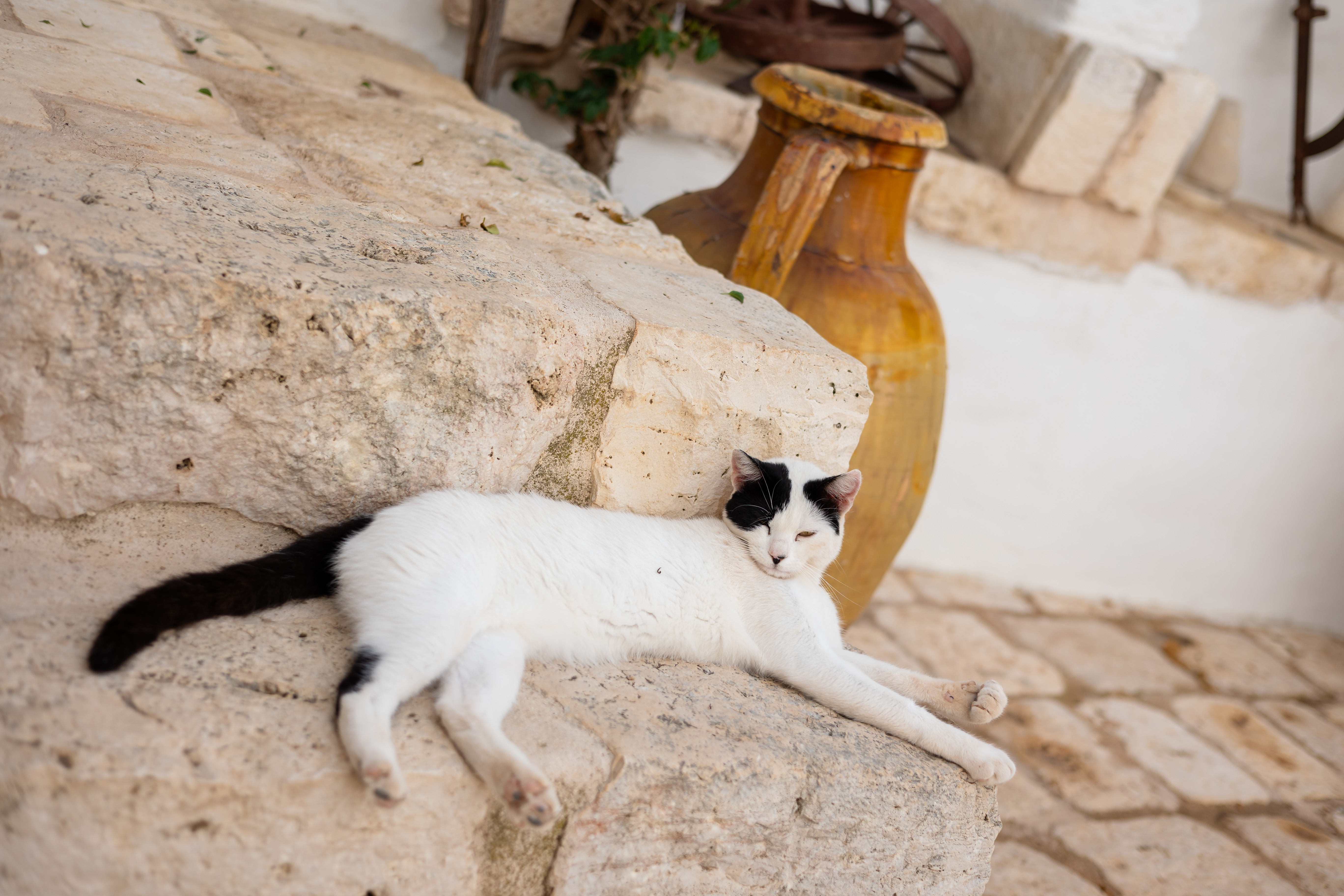 Masseria Le Cerase